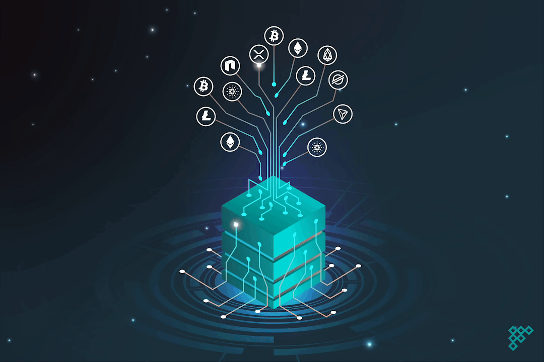 Blockchain Network Visualization